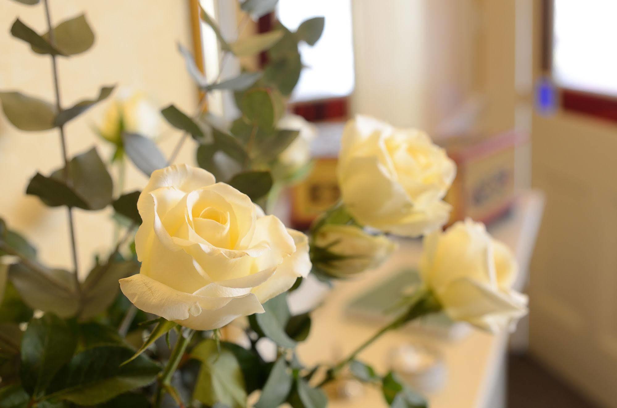 Crosby Bed & Breakfast Пенріт Екстер'єр фото
